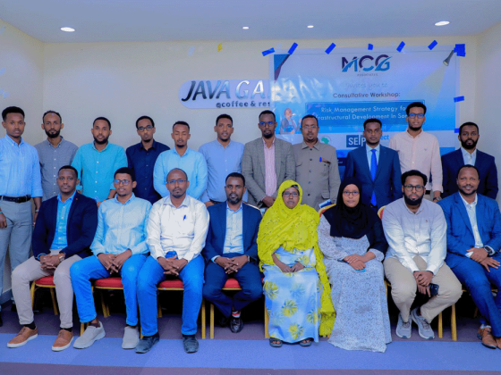 Risk Management Strategy Development in Somalia