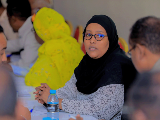 Somalia’s Public Sector Reform Faces Critical Crossroads