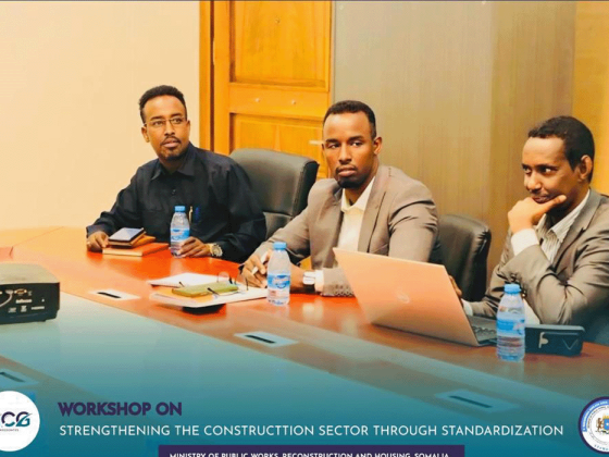 Construction Sector Standardization in Somalia