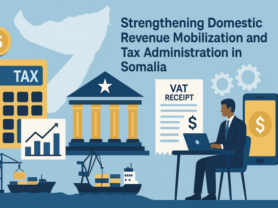 Strengthening Domestic Revenue Mobilisation and Tax Administration in Somalia